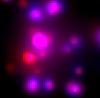      : Trumpler 14 (Tr 14) central region Chandra (X-ray) Carina _ 1.jpg : 7 : 122.0  ID: 119738