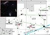      : NGC 3628 (Arp 317C) Leo Triplet (Leo) _ WS.jpg : 236 : 116.0  ID: 136534