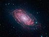      : Messier 63 Sunflower Galaxy (Canes Venatici) Spitzer Space Telescope (NASA) _ 2.jpg : 115 : 74.0  ID: 120492