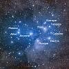      : Messier 45 Pleiades (Melotte 22) Taurus _ GF.jpg : 91 : 175.1  ID: 134857